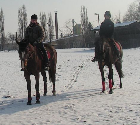 ivan.titok.zsani.biborsziget.oldira..jpg